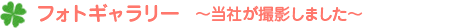フォトギャラリー 〜当社が撮影しました〜